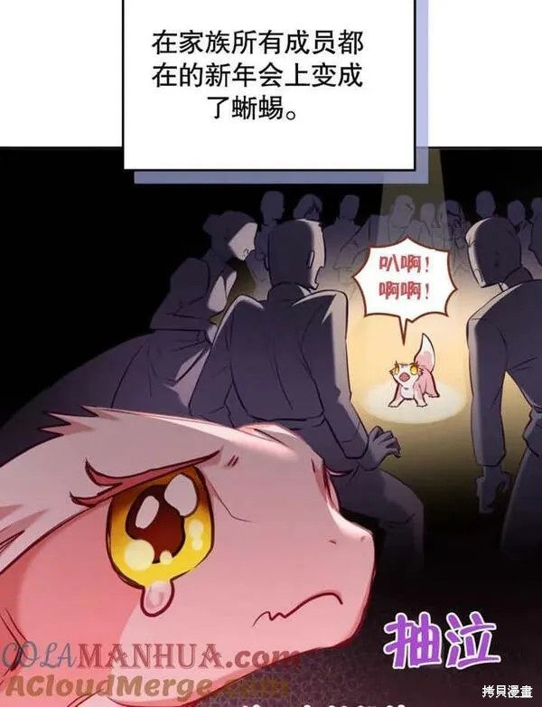 第204页