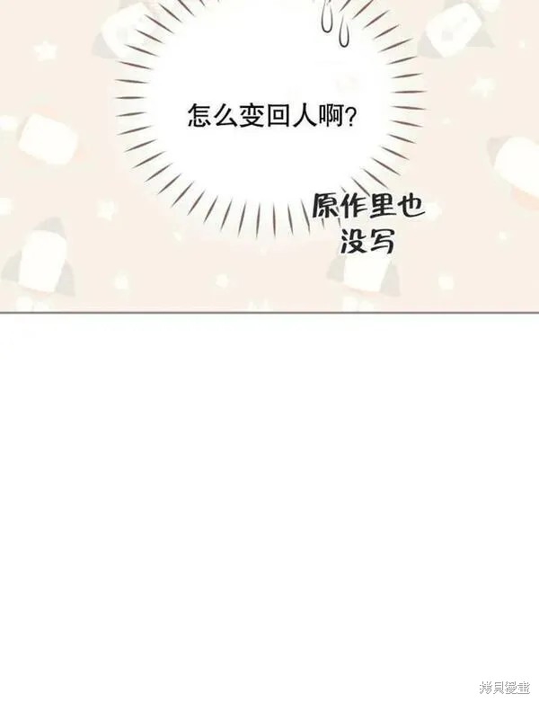 第206页