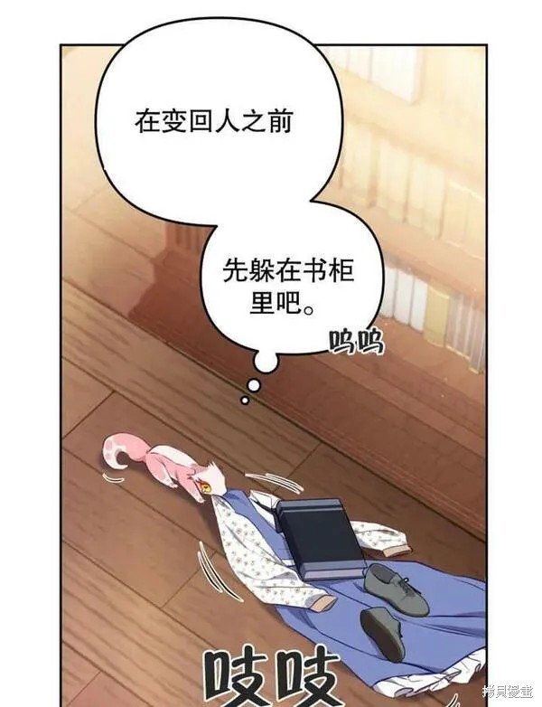 第207页
