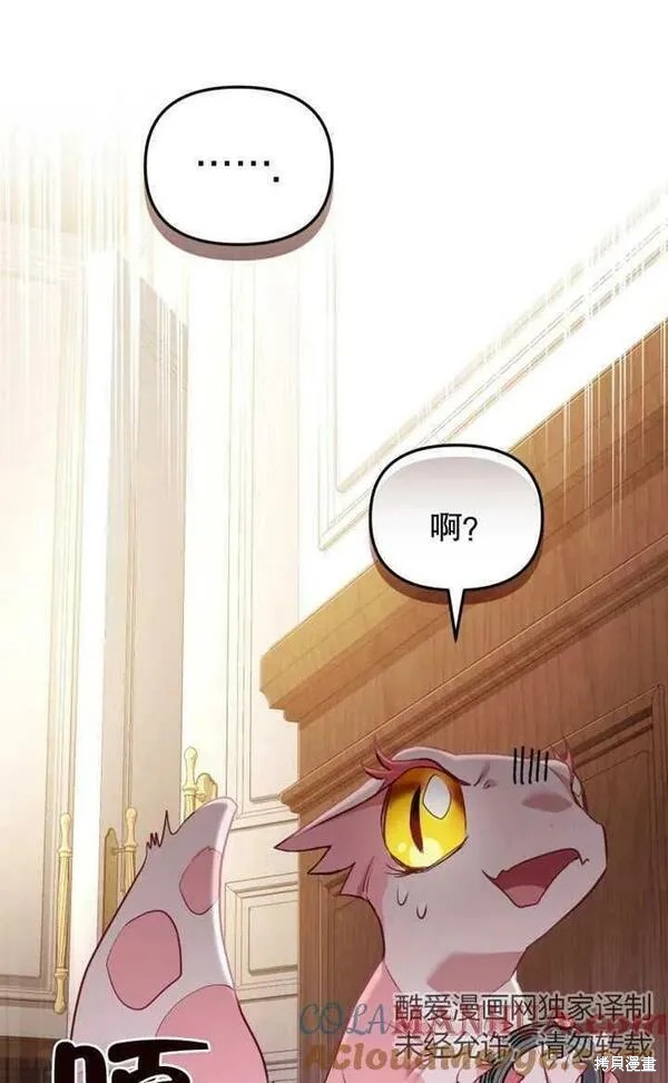 第216页