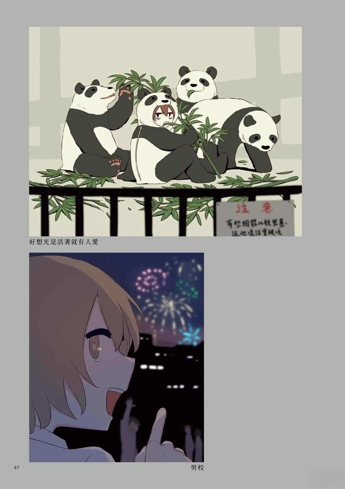 第51页
