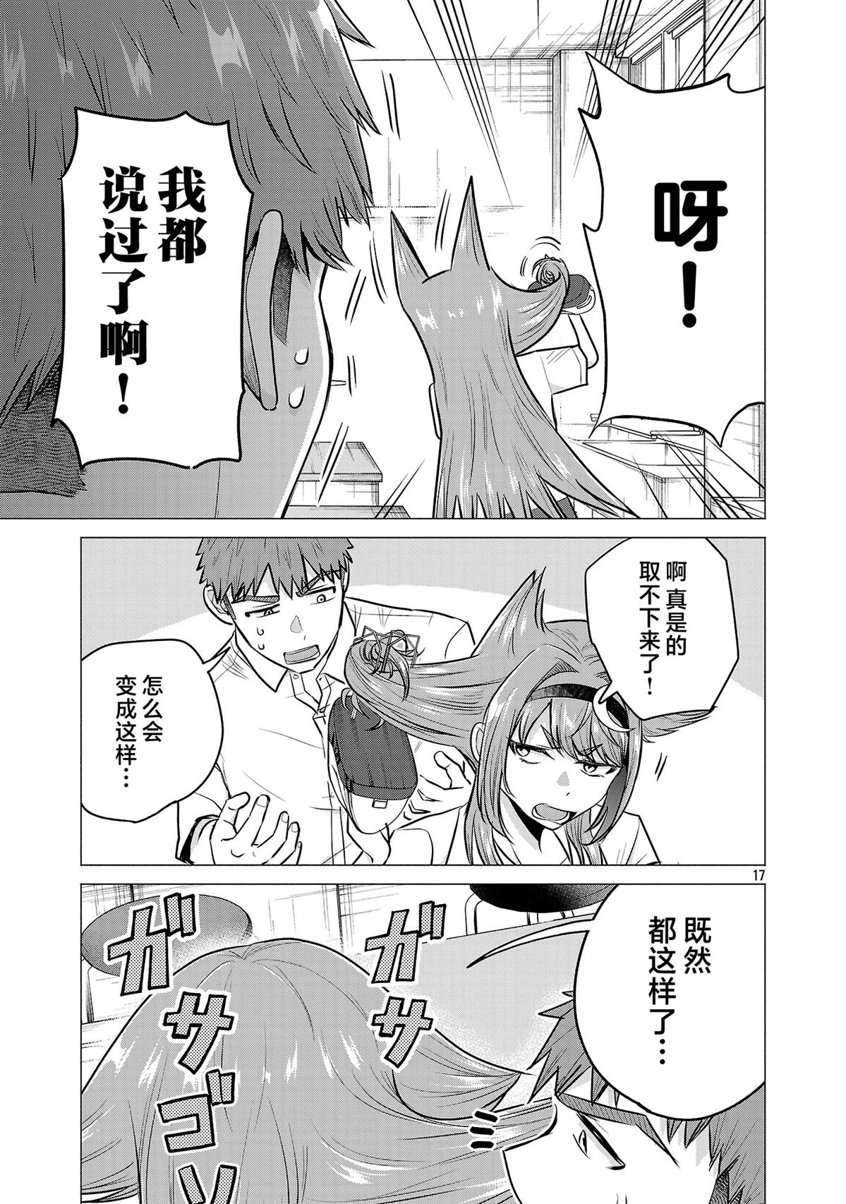 第17页