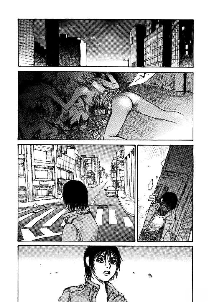 第41页